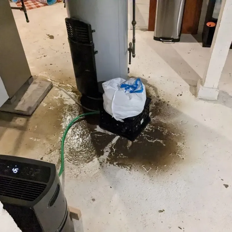 Sewage Backup Cleanup Service in Audrain County, MO
